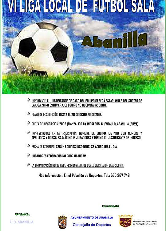 CARTEL LIGA LOCAL FS 2015 2016