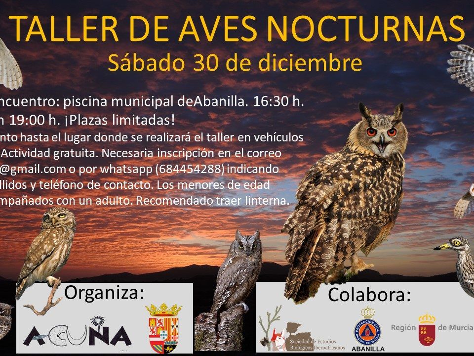 Cartel Taller de Aves Nocturnas