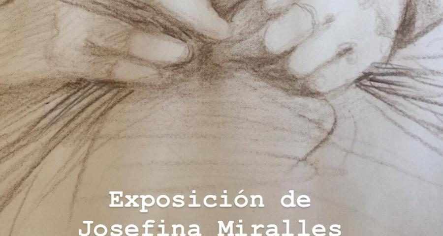 Exposición sobre el Esparto
