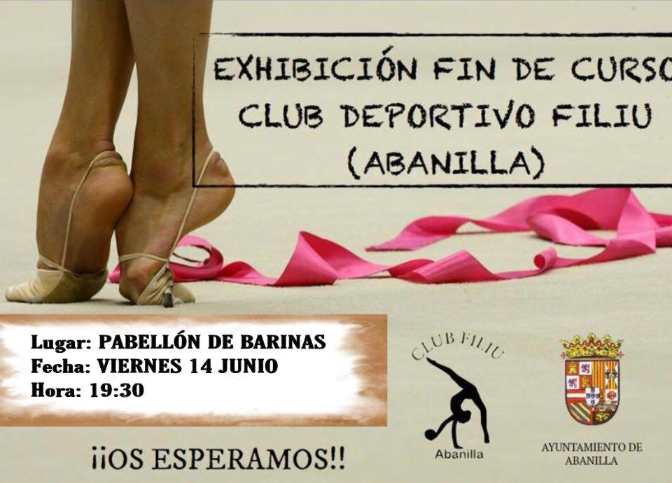 Exhibición Gimnasia ritmica