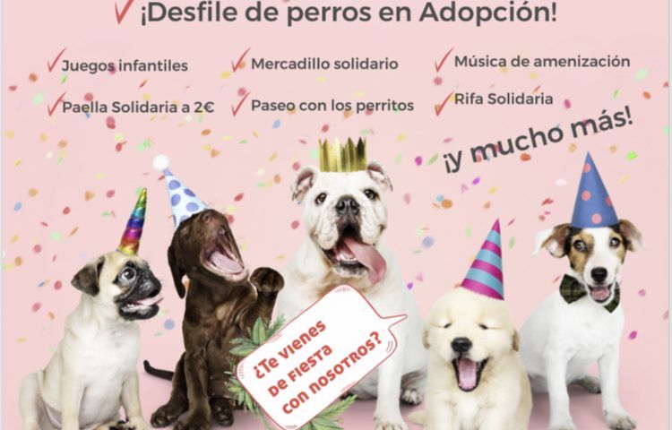 Fiesta solidaria Animales 2019