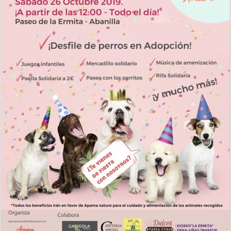Fiesta solidaria Animales 2019