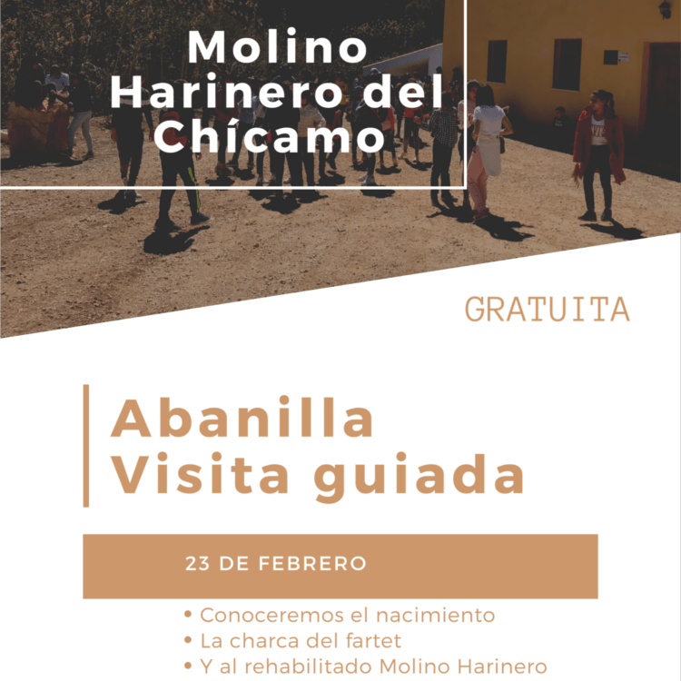 Visita