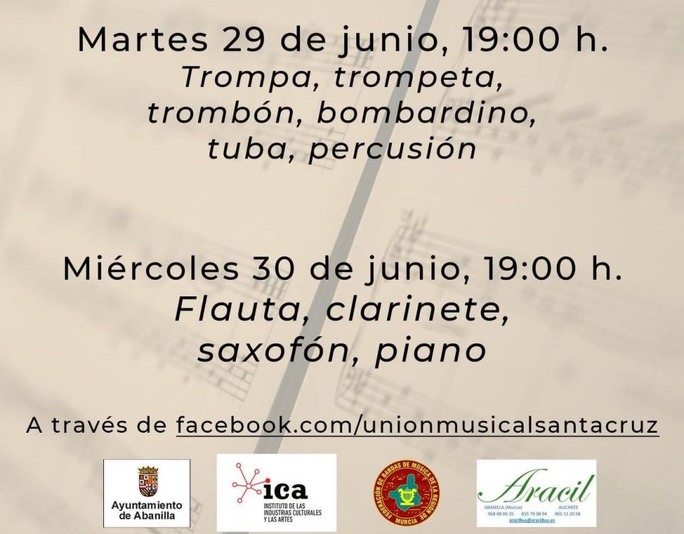 FinCursoAudiciones